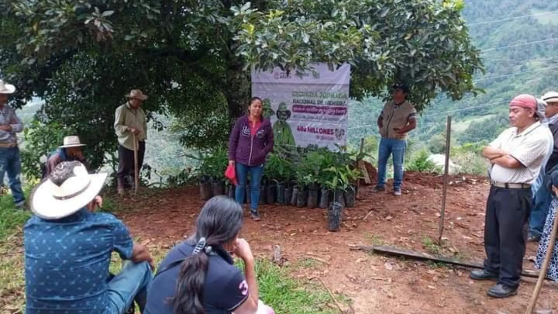 SEMBRANDO La distribución de los apoyos no ha frenado. FOTO MARVIN BAUTISTA DIARIO DEL SUR (7)